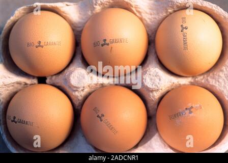 Six eggs in a box. Stock Photo