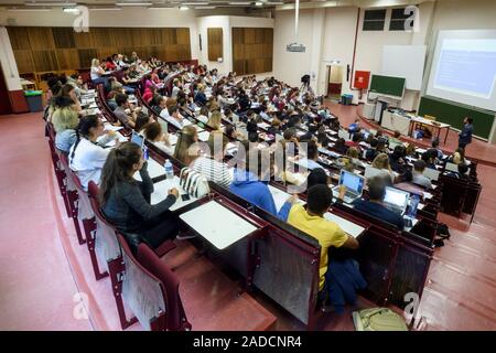 Students attending a lecture. Stock Photo