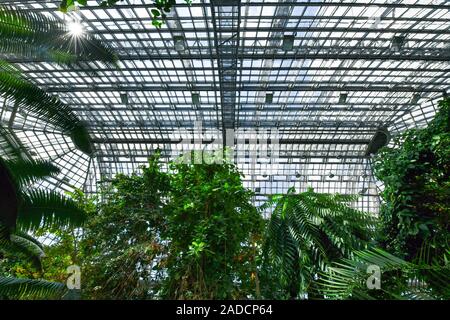 Großes Tropenhaus, Botanischer Garten, KöniginLuiseStraße