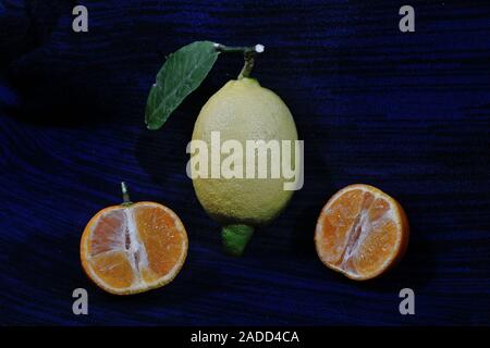 still life with tangerine open-face and a yellow lemon with leaf on dark blue and black backround Stock Photo