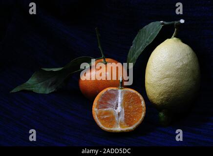 still life with tangerine open-face and a yellow lemon with leaf on dark blue and black backround Stock Photo