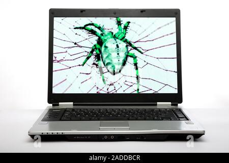 Computer virus. Conceptual image of a laptop computer displaying a spider on its web, representing the harmful effect of a computer virus. A computer Stock Photo