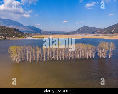 Lake Stymphalia,Greece Stock Photo