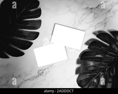 business card mock-up. white blank business cards on white marble background with tropical palm leaves. template, monotone color Stock Photo