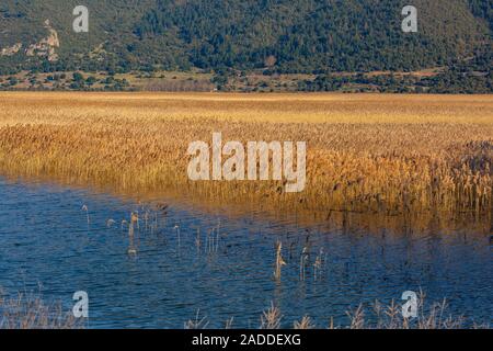 Lake Stymphalia,Greece Stock Photo