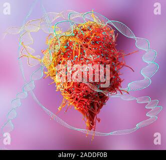 HIV infected cell and DNA, conceptual composite image. Scanning electron microscopy (SEM) and computer generated image (CGI) of DNA (deoxyribonucleic Stock Photo