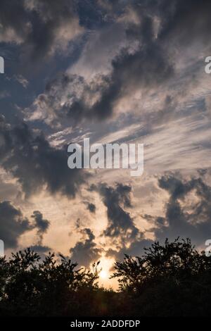 Altocumulus floccus clouds at sunset. Altocumulus clouds occur at middle altitudes (2400-6000 metres). There are several types of altocumulus clouds. Stock Photo