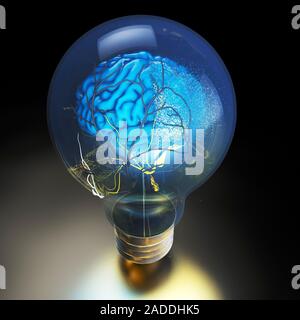 Brain power and light bulb. Conceptual image of a brain in a light bulb, representing ideas, the power of the human brain, the discovery and harnessin Stock Photo