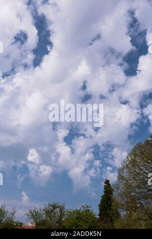 Altocumulus floccus clouds in spring. Altocumulus clouds occur at middle altitudes (2400-6000 metres). There are several types of altocumulus clouds. Stock Photo