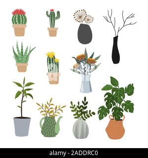 Set of isolated flowers in pots, vases and baskets - succulents, cacti, monstera. Vector flat Stock Vector