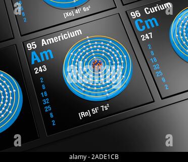 Diagram of the nuclear composition, electron configuration, and valence (outer electron) orbitals of an atom of americium-243 (atomic number: 95), the Stock Photo