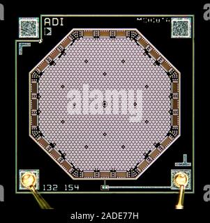MEMS (MicroElectroMechanical System) microphone wafer. MEMS microphones are installed in nearly all modern smartphones. The image shows the complete M Stock Photo