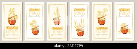 Honey flowers vintage vertical flyers design. Engraved Clover, Milk Thistle and Sainfoin plants with glass honey jar and drop. Hand drawn Lavender, Buckwheat orange logo templates set. Sketch banners Stock Vector