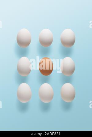 Odd one out, conceptual image. A brown egg surrounded by white eggs. Stock Photo
