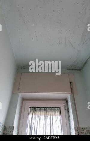 mold on the walls of the bathroom that is formed by the steam Stock Photo