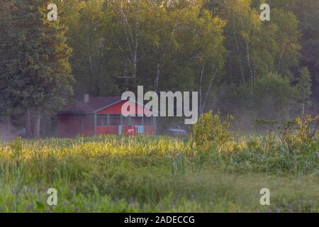 Early morning mist rises over a vacationer's cabin in northern Wisconsin. Stock Photo