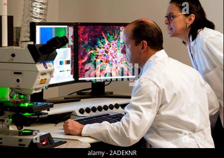 Ophthalmic research. Researchers examining eye tissue samples under a laser scanning microscope. Photographed at the National Eye Institute (NEI), Bet Stock Photo