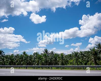 A view of palm farm beside highway under half cloudy blue sky in Penang Malaysia November 2019 Stock Photo