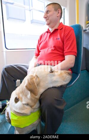 Vision impaired man with guide dog travelling on a tram together. Stock Photo