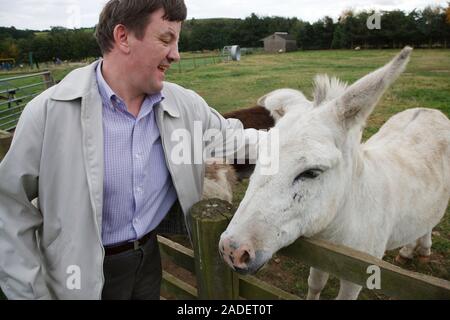 Man with learning disability on trip to farm with donkey. Stock Photo