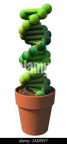 This image may not be used in educational posters Genetics and plants. Conceptual image of the double helix molecule of DNA (deoxyribonucleic acid) as Stock Photo