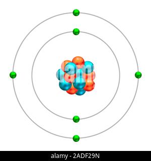 Carbon-13. Diagram showing the nuclear composition and electron configuration of an atom of carbon-13, a natural and stable isotope of the element car Stock Photo