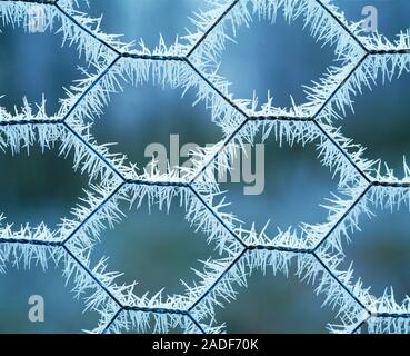 Hoar frost on a wire fence. Hoar frost forms in a similar way to dew, in that water is deposited from air that is supersaturated with water vapour. Th Stock Photo