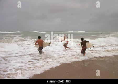 Surfing hurricane Katrina. Three young surfers head to sea to surf waves caused by the approaching hurricane Katrina. Photographed on 25th August 2005 Stock Photo