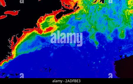 False-colour satellite image of the western Atlantic, showing the distribution of phyto- plankton in the surface water. The colours represent varying Stock Photo