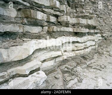 Jurassic fossil-bearing rock strata. Crumbling strata in Jurassic, fossil bearing cliffs between Lyme Regis and Charmouth, Dorset, UK. It was in these Stock Photo