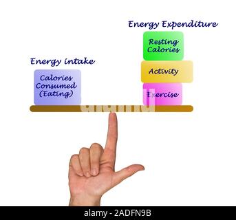 Balance between Energy intake and Energy expenditure Stock Photo