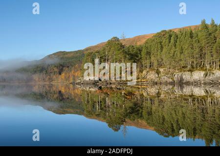 Loch Beinn a' Mheadhoin with Scots Pine (Pinus sylvestris) in mist at sunrise, Glen Affric, Highlands, Scotland. Stock Photo