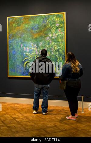 Visitors looking at Claude Monet painting Irises, 1914/17, The Art Institute of Chicago, Chicago, Illinois, USA Stock Photo