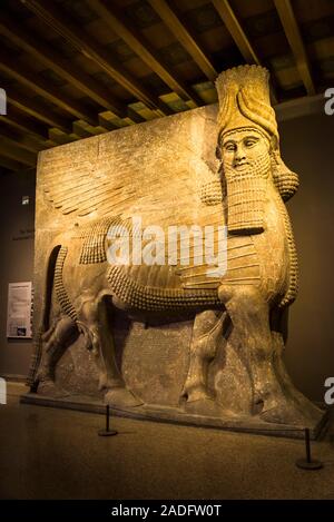 A lamassu from the palace of Sargon II at Dur-Sharrukin, University of Chicago Oriental Institute, Hyde Park neighborhood, Chicago, Illinois, USA Stock Photo