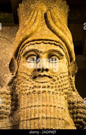 A lamassu from the palace of Sargon II at Dur-Sharrukin, University of Chicago Oriental Institute, Hyde Park neighborhood, Chicago, Illinois, USA Stock Photo