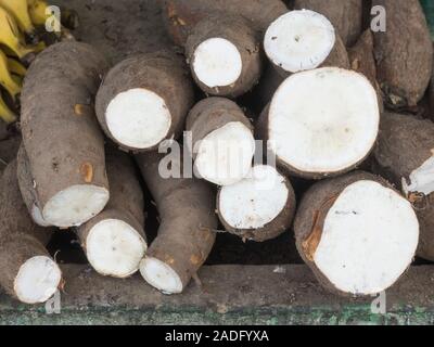 Cassava in a market in Colombia Stock Photo