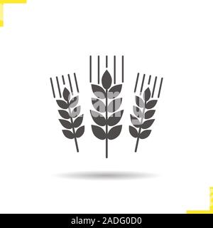 Wheat ears icon. Drop shadow barley silhouette symbol. Spikes of rye. Negative space. Vector isolated illustration Stock Vector