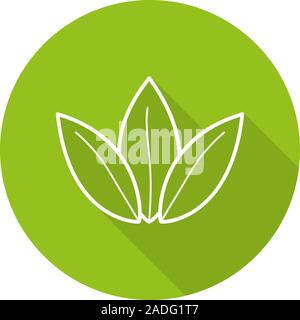 Tea leaves flat linear long shadow icon. Herbal medicine. Green tea shop emblem. Vector line symbol Stock Vector