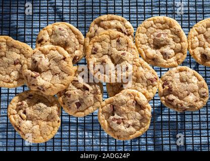 Overhead view of freshly baked chocolate chip cookies on a cooling rack Stock Photo