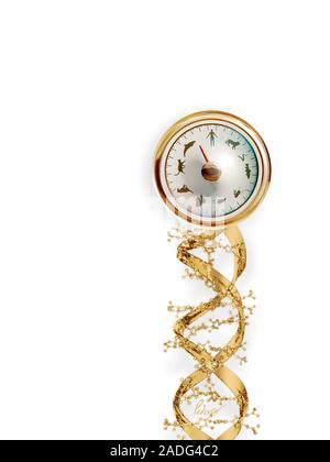 Biological diversity, conceptual computer artwork. Dial representing life on Earth, supported by a molecule of DNA (deoxyribonucleic acid). Even thoug Stock Photo