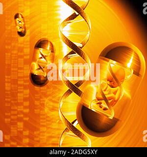 Gene therapy. Conceptual computer artwork of drug capsules filled with DNA (deoxyribonucleic acid), to depict gene therapy 'pills'. Gene therapy is th Stock Photo