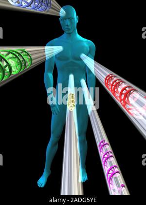 Gene therapy. Conceptual computer artwork representing gene therapy, showing beams of DNA (deoxyribonucleic acid, spiral structures) being targeted at Stock Photo