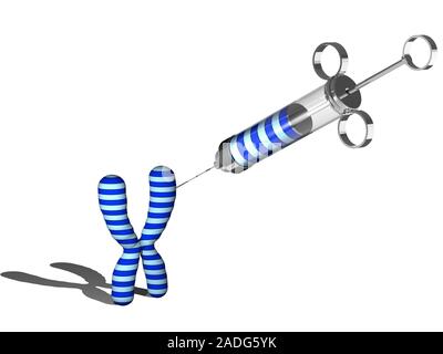 Gene therapy. Conceptual computer artwork representing gene therapy, showing a syringe being used to inject genetic material into a chromosome. Chromo Stock Photo