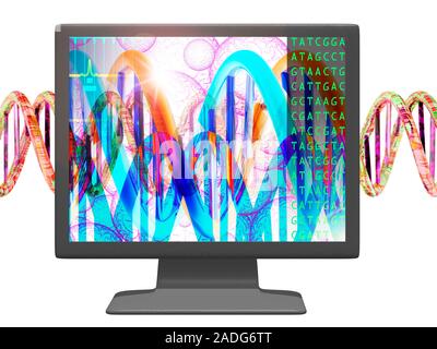 Computers in genetic research. Conceptual computer artwork showing a computer monitor containing DNA double helices against a backdrop of cells (pink) Stock Photo