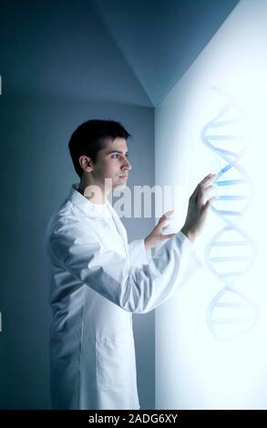 MODEL RELEASED. DNA research, composite image. Researcher examining a model of a DNA (deoxyribonucleic acid) molecule on a screen. Stock Photo