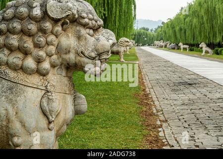 The Sacred Way, is a main road leading to all the tombs of the Imperial Tombs of the Ming and Qing Dynasties with stone sculptures, Beijing China Stock Photo