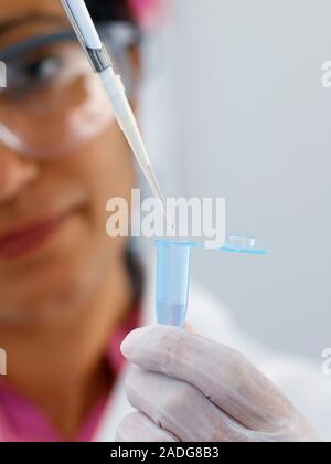 MODEL RELEASED. Biological research. Researcher pipetting a clear liquid into an Eppendorf tube that is being held in a gloved hand. Stock Photo