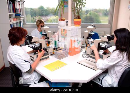 Cell research. Researchers using light microscopes during cell research in a laboratory. Cells can be studied to understand their normal functions (cy Stock Photo