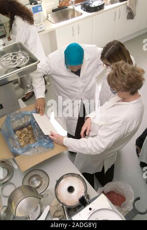 Food analysis. Researchers in the laboratory testing food samples. Photographed at the Central Science Laboratory, UK. Stock Photo