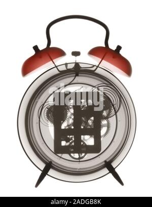 Alarm clock. Coloured X-ray of a wind-up alarm clock showing its internal components. Stock Photo